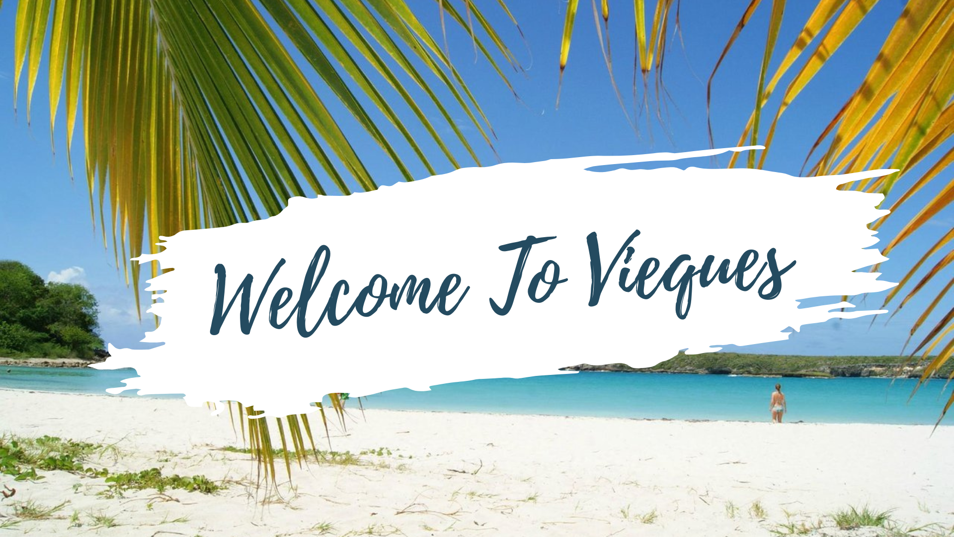 VIEQUES: Beach & Sunset  Experience